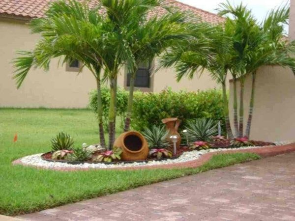 زراعة حديقة المنزل-تطبيق عقار